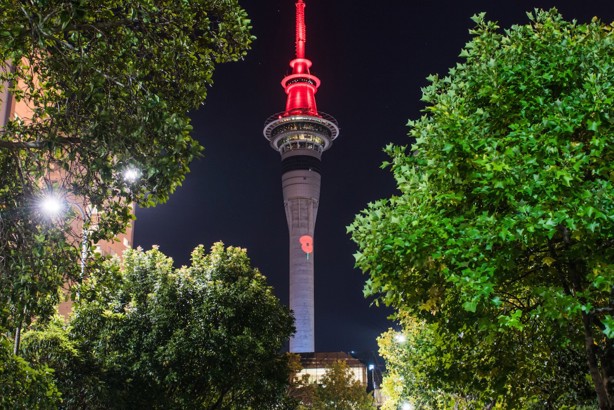 SkyCity is shining a light on 100 years of Poppy Appeal thumbnail