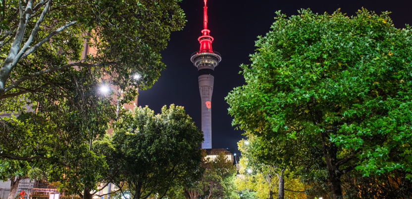 Sky Tower to become NZ’s tallest poppy for Anzac Day thumbnail
