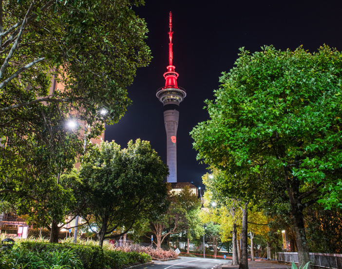 Sky Tower to become NZ’s tallest poppy for Anzac Day thumbnail
